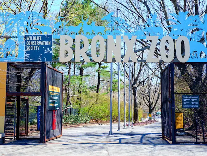 Bronx Zoo In New York